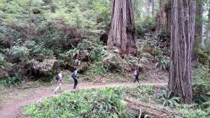 11120592_966561773363069_9077034747013605730_n