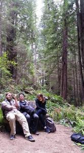 11167971_966561716696408_269719031506504365_n