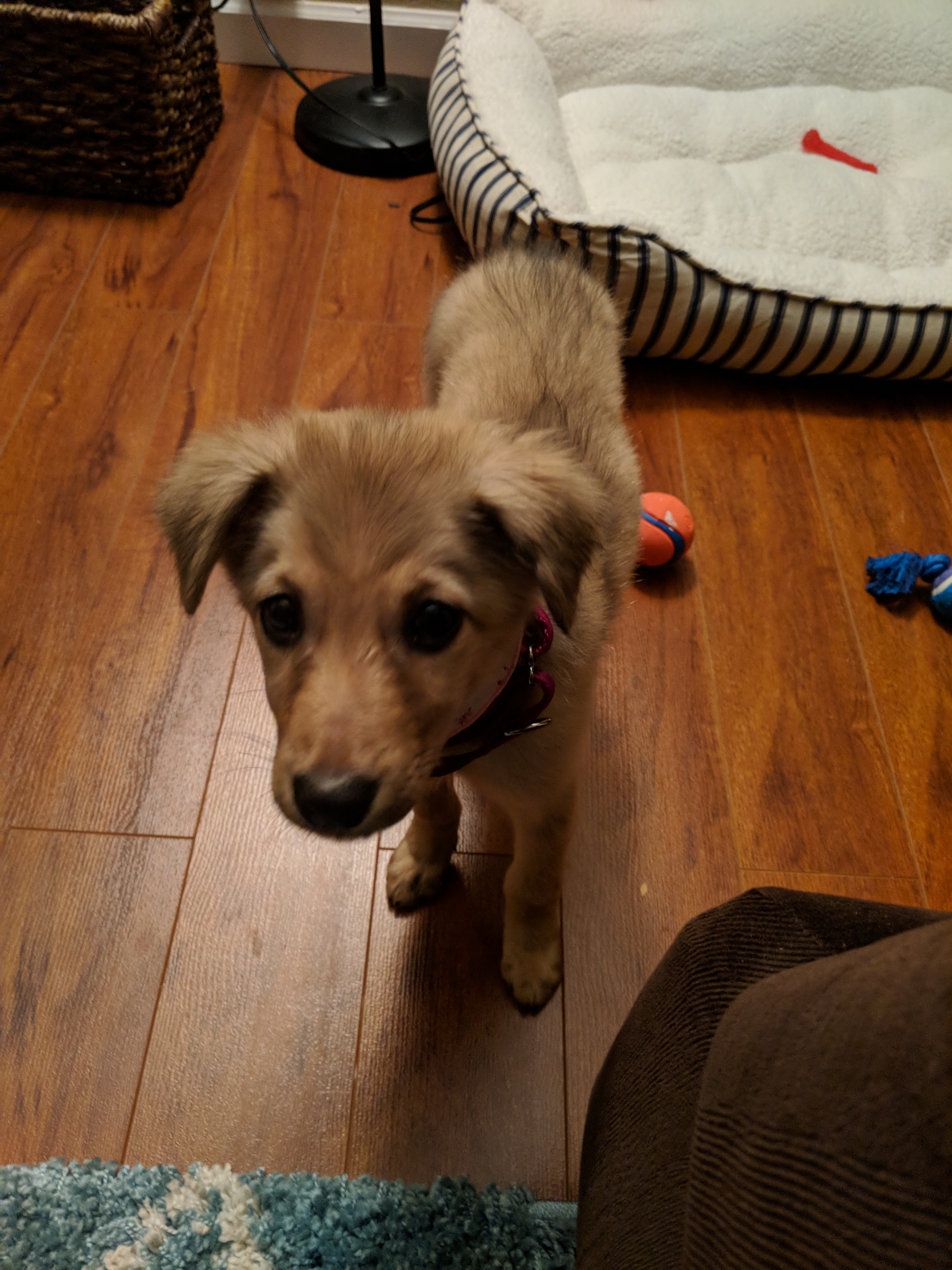 MVIMG_20171210_063551